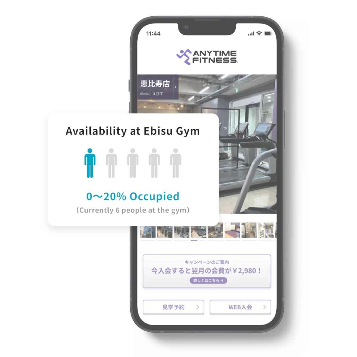 Anytime Fitness gym availability app